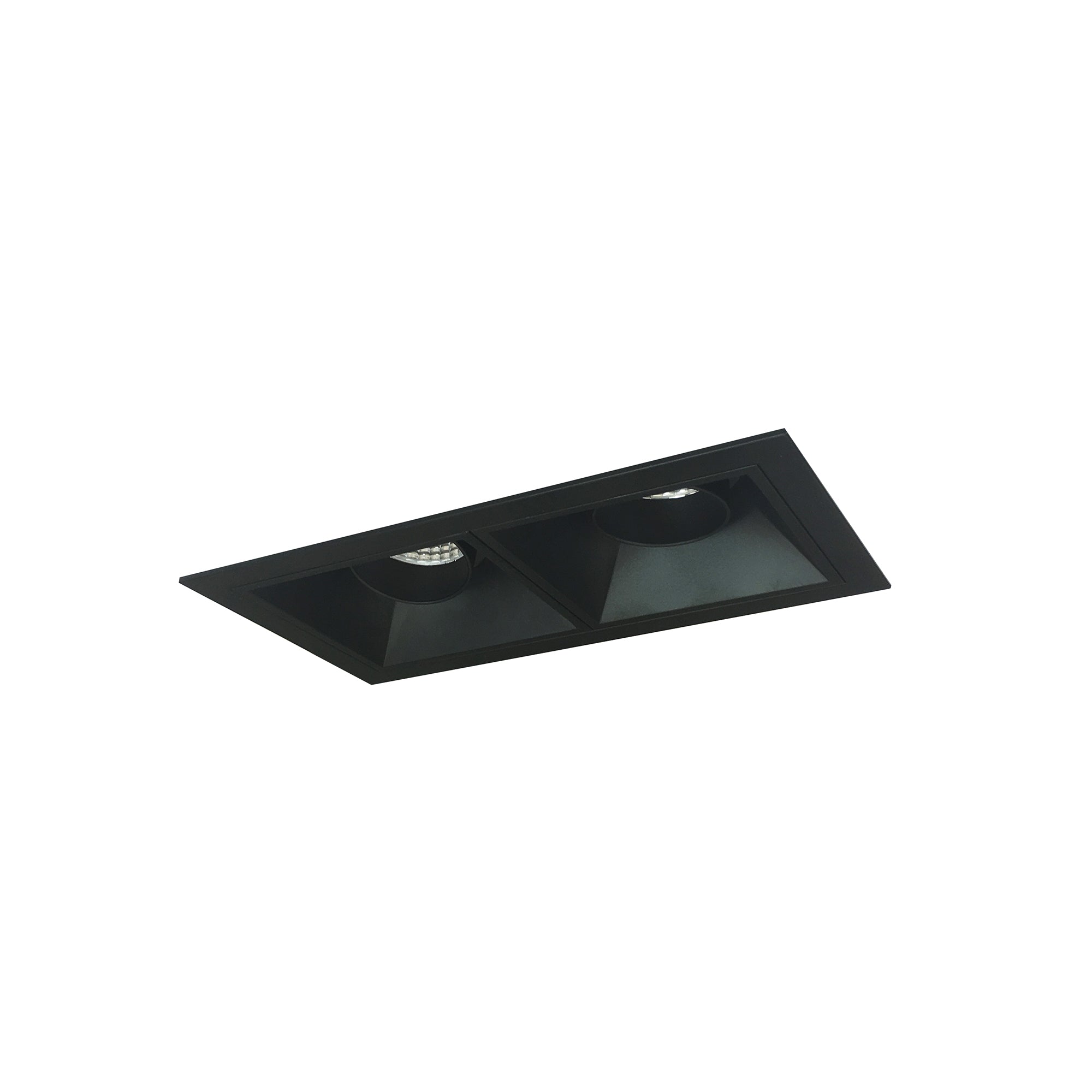 Nora Lighting NMIOT-12-B-AA-CDX-10-B - Recessed - Iolite MLS 2-Head Trim Kit, Black Flange, Comfort Dim, 800lm, Black Adj. Snoot Trims