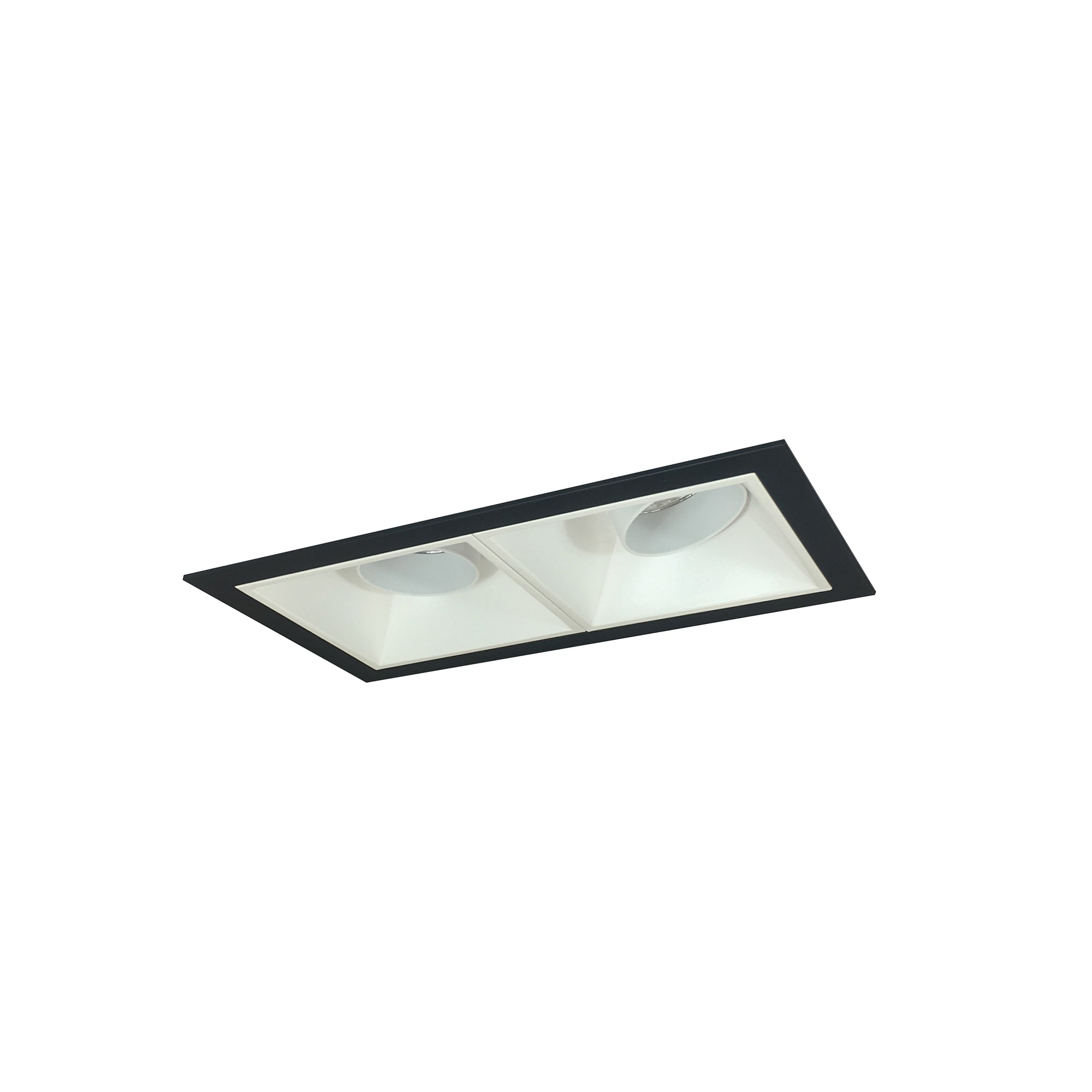 Nora Lighting NMIOT-12-B-AA-35X-10-MPW - Recessed - Iolite MLS 2-Head Trim Kit, Black Flange, 3500K, 1000lm, MPW Adj. Snoot Trims