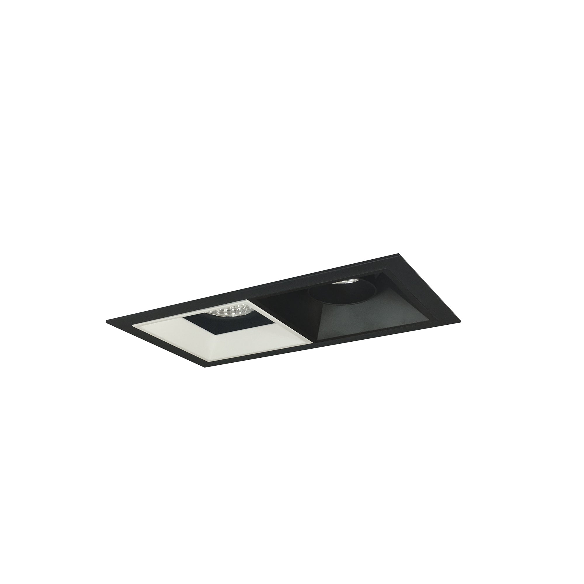 Nora Lighting NMIOT-12-B-AF-50X-10-BMPW - Recessed - Iolite MLS 2-Head Trim Kit, Black Flange, 5000K, 1000lm, Black/MPW Adj. Snoot/Fixed Downlt. Trims