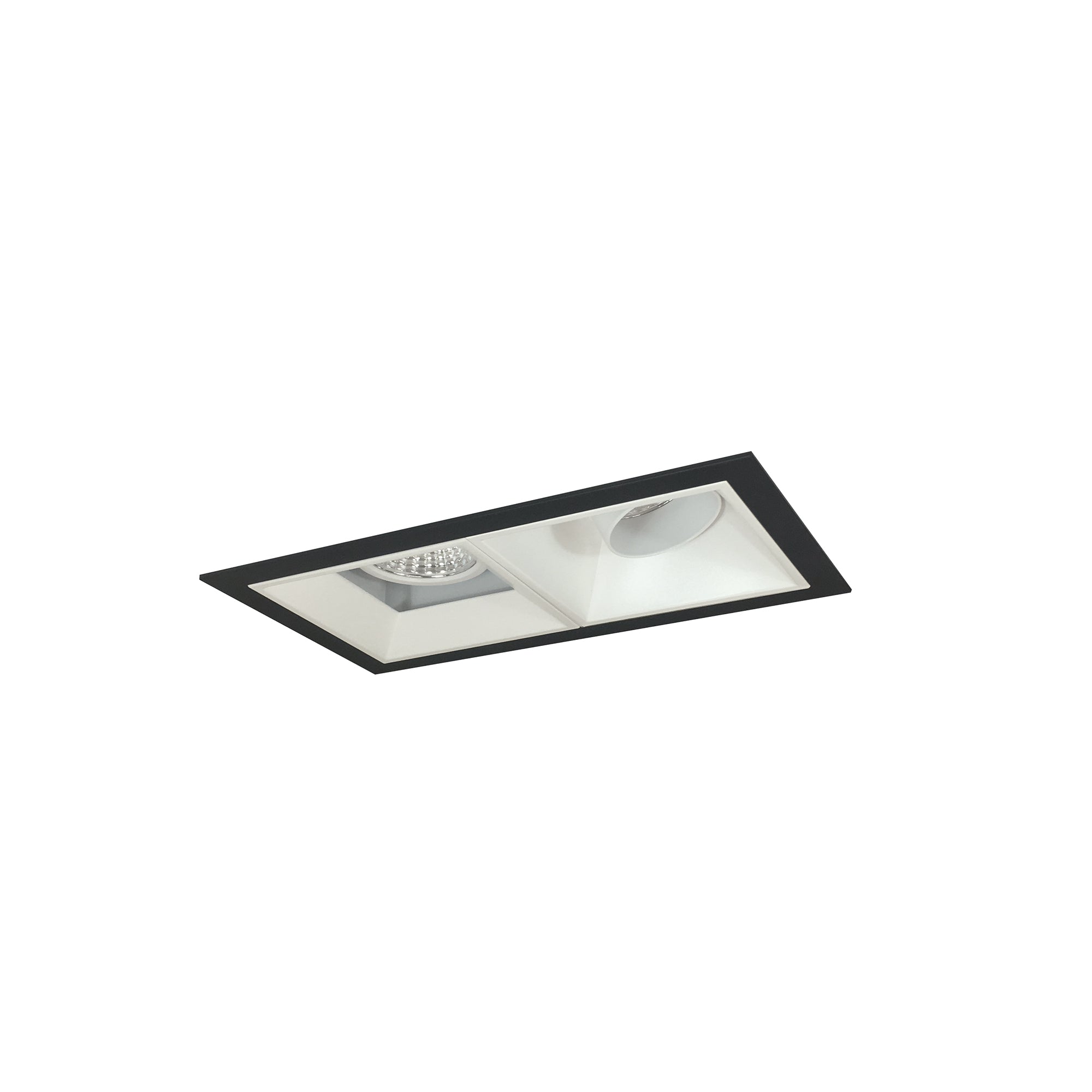 Nora Lighting NMIOT-12-B-AF-50X-10-MPW - Recessed - Iolite MLS 2-Head Trim Kit, Black Flange, 5000K, 1000lm, MPW Adj. Snoot/Fixed Downlt. Trims
