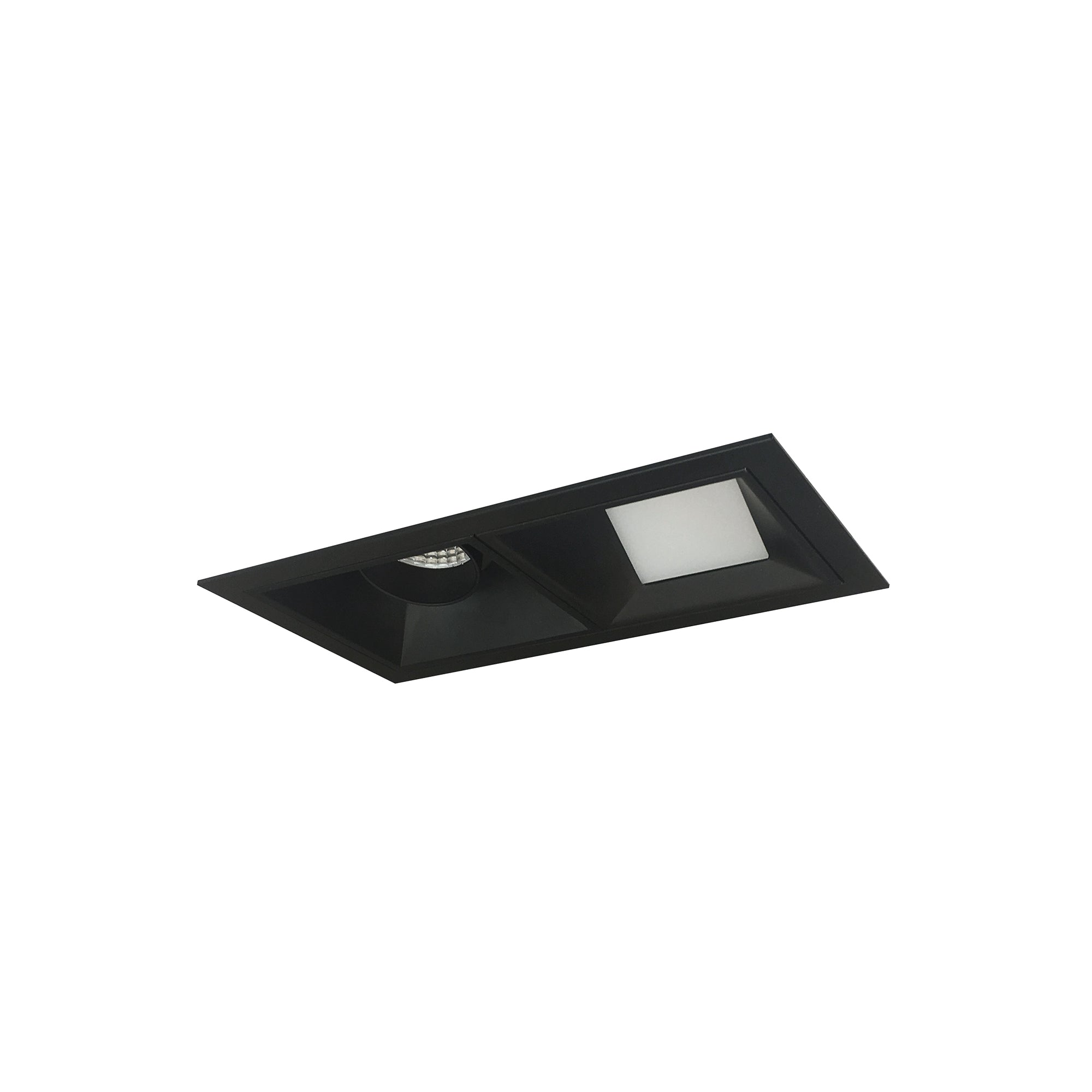 Nora Lighting NMIOT-12-B-AW-40X-10-B - Recessed - Iolite MLS 2-Head Trim Kit, Black Flange, 4000K, 1000lm, Black Adj. Snoot/Wall Wash Trims