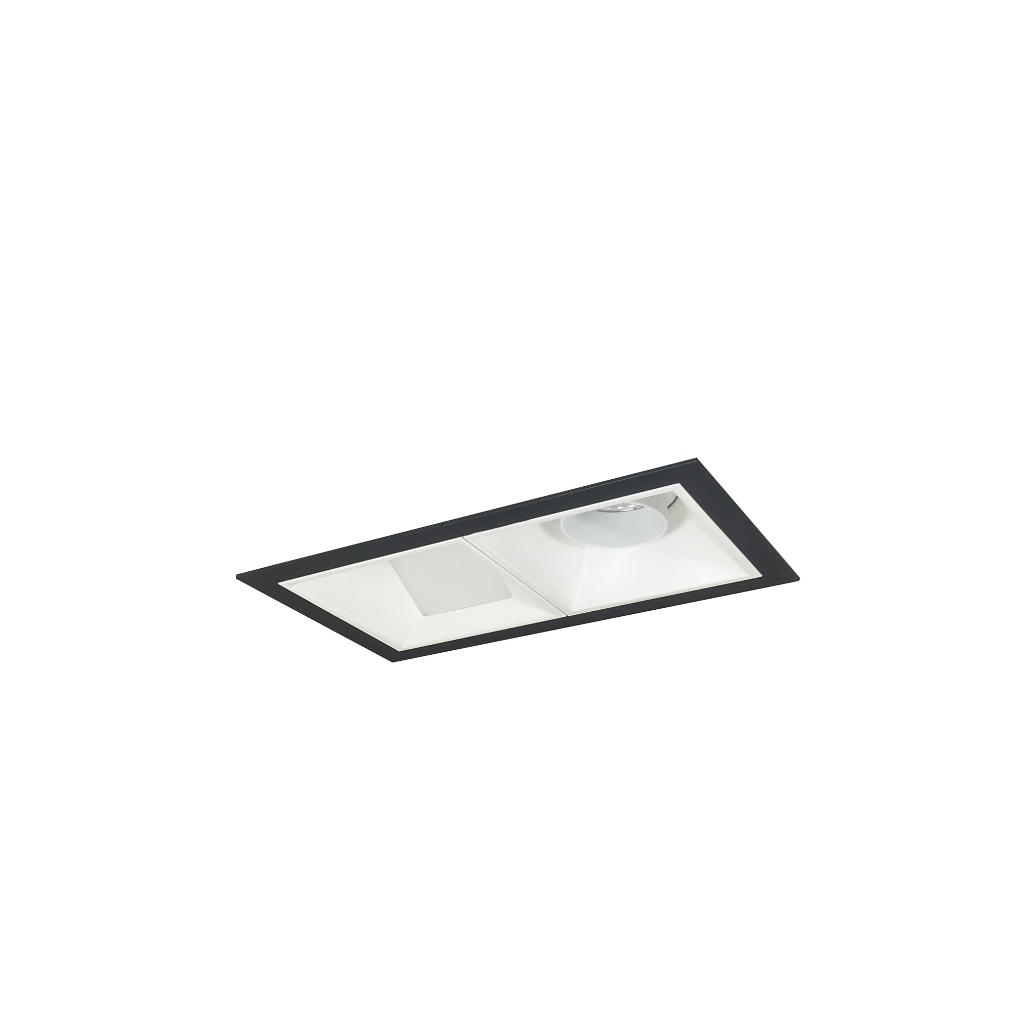 Nora Lighting NMIOT-12-B-AW-50X-10-MPW - Recessed - Iolite MLS 2-Head Trim Kit, Black Flange, 5000K, 1000lm, MPW Adj. Snoot/Wall Wash Trims