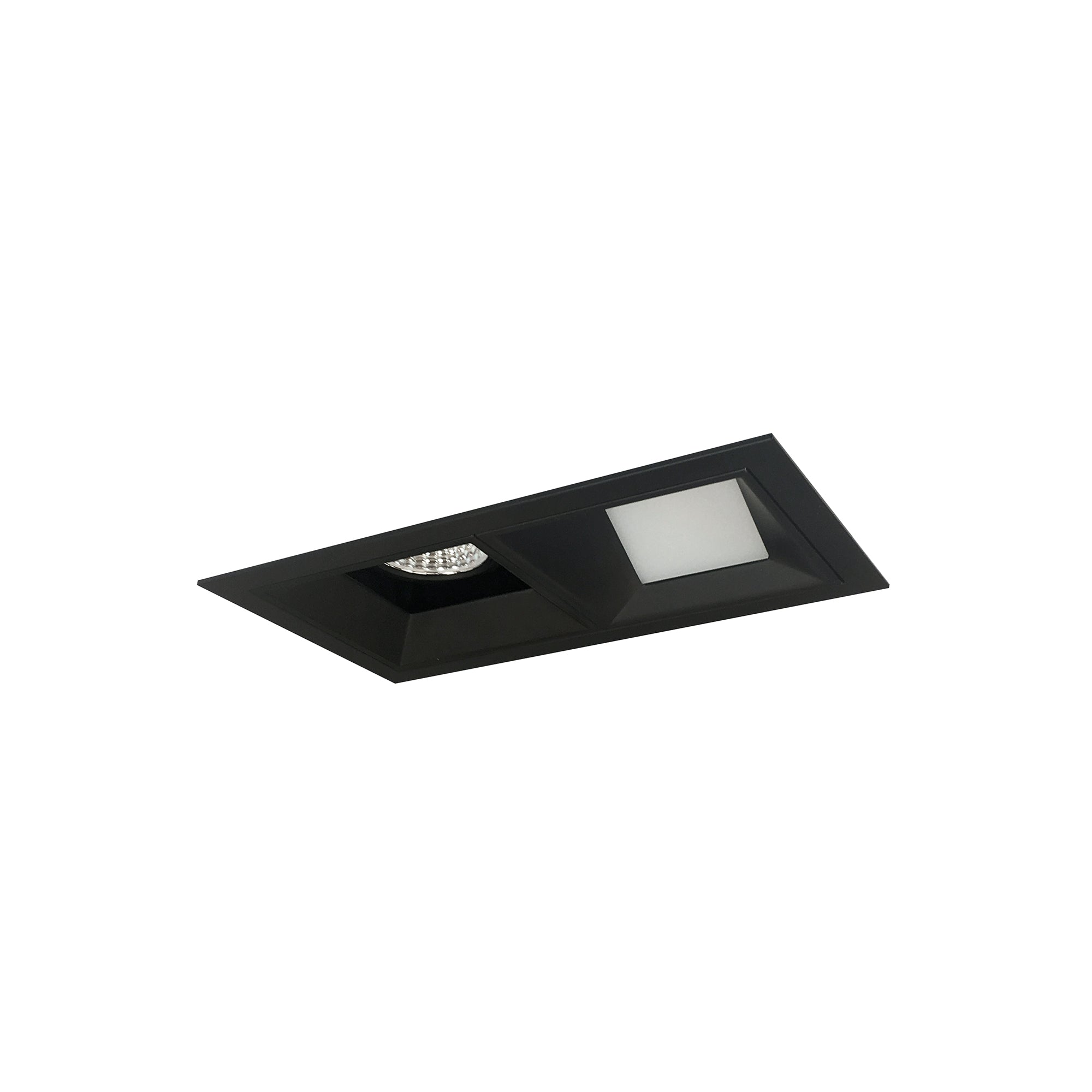 Nora Lighting NMIOT-12-B-FW-35X-10-B - Recessed - Iolite MLS 2-Head Trim Kit, Black Flange, 3500K, 1000lm, Black Fixed Downlt./Wall Wash Trims