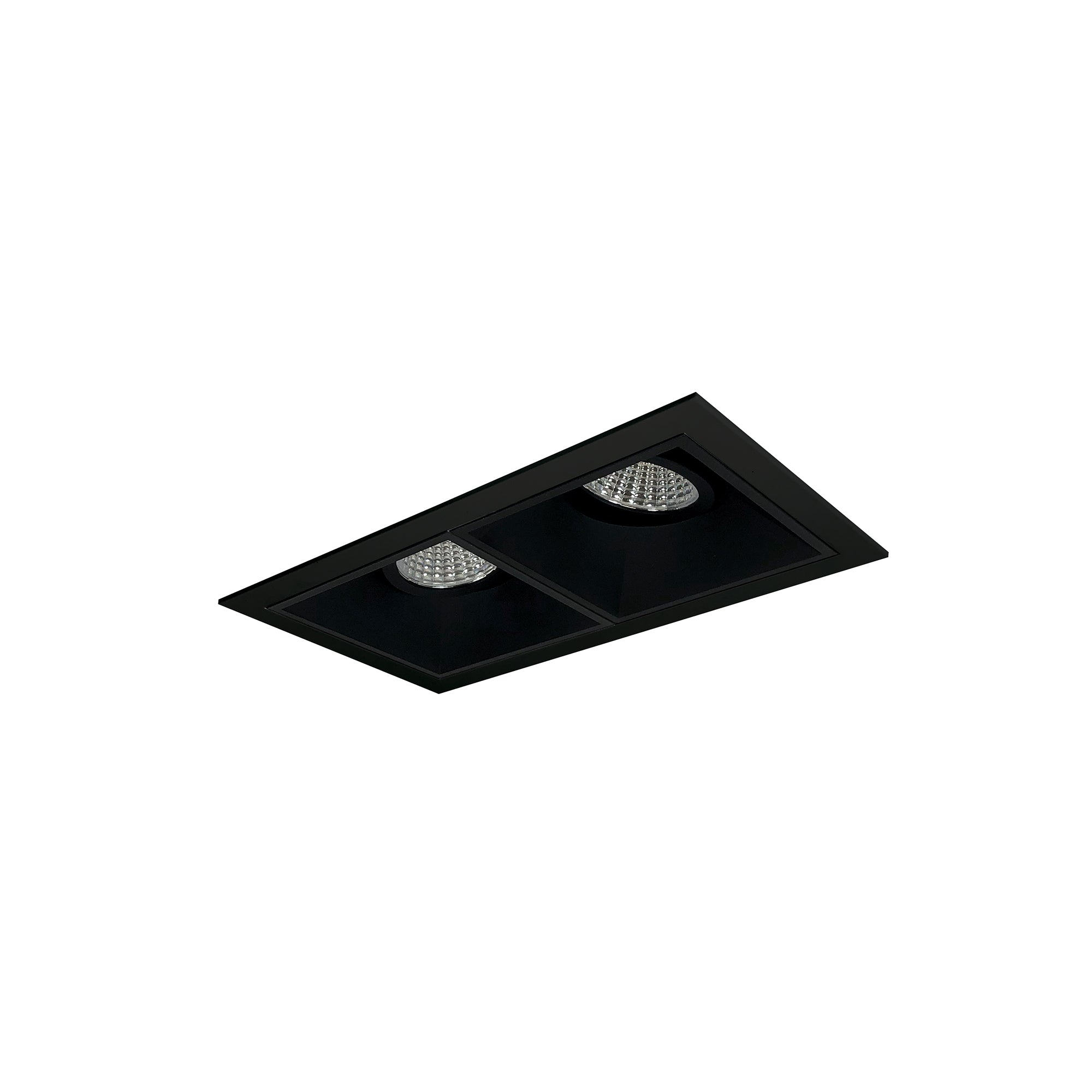 Nora Lighting NMIOT-12-B-GG-50X-10-B - Recessed - Iolite MLS 2-Head Trim Set, Black Flange, 5000K, 1000lm, Black Adj. Gimbal Trims