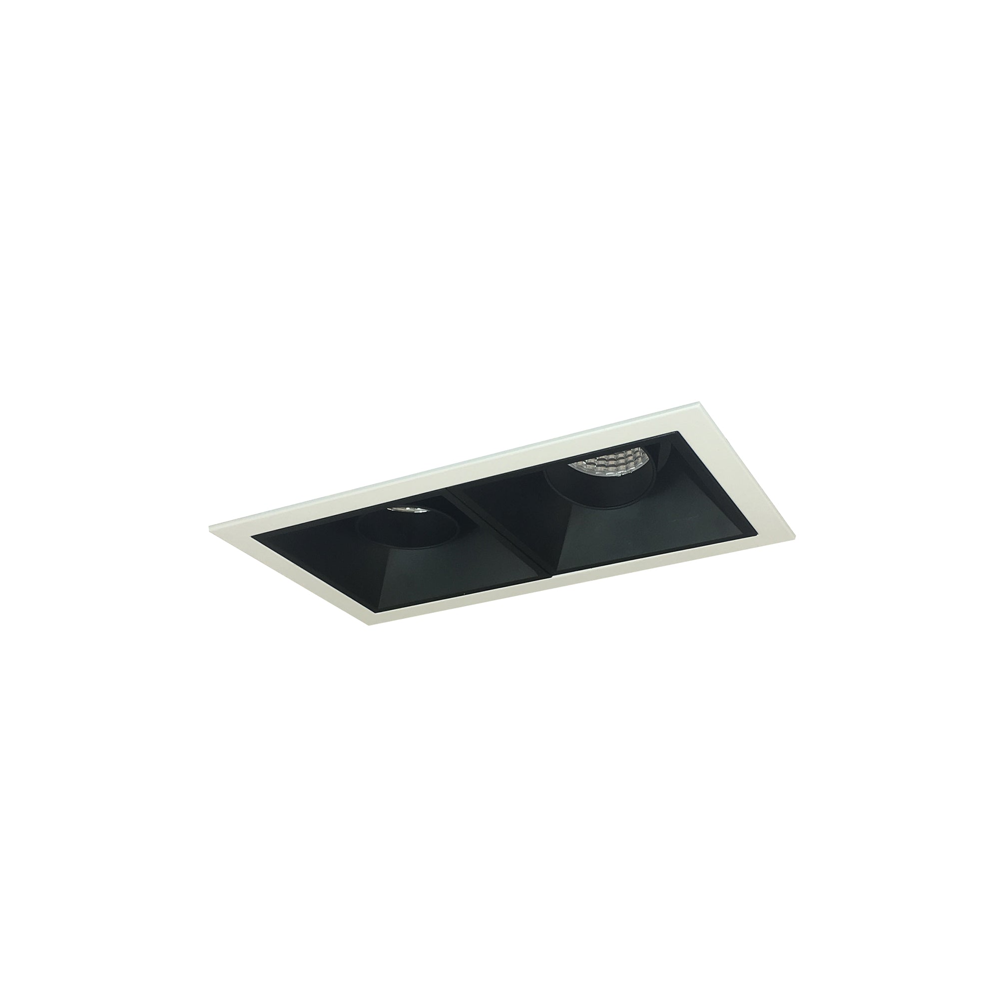 Nora Lighting NMIOT-12-MPW-AA-40X-10-B - Recessed - Iolite MLS 2-Head Trim Kit, MPW Flange, 4000K, 1000lm, Black Adj. Snoot Trims