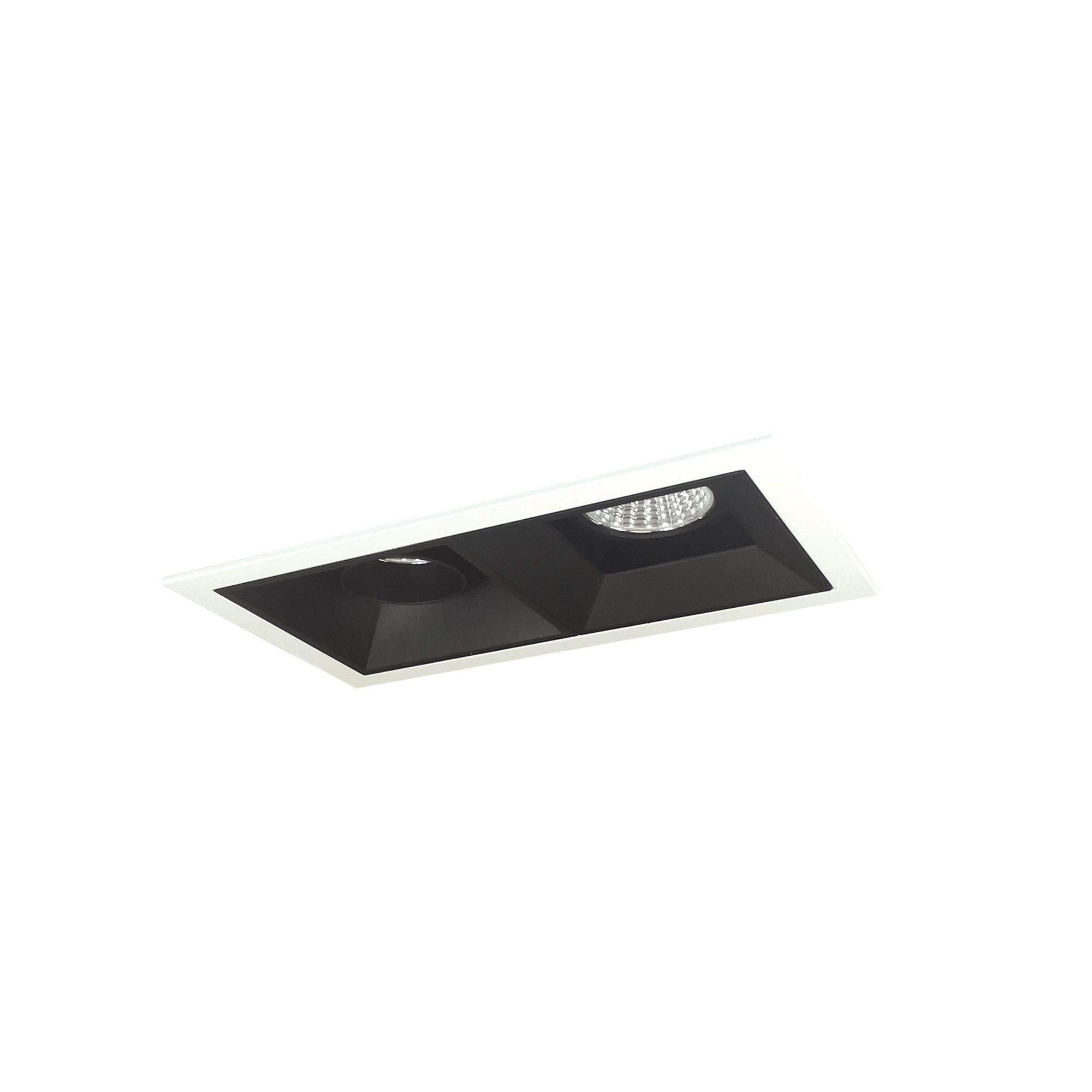 Nora Lighting NMIOT-12-MPW-AF-CDX-10-B - Recessed - Iolite MLS 2-Head Trim Kit, MPW Flange, Comfort Dim, 800lm, Black Adj. Snoot/Fixed Downlt. Trims