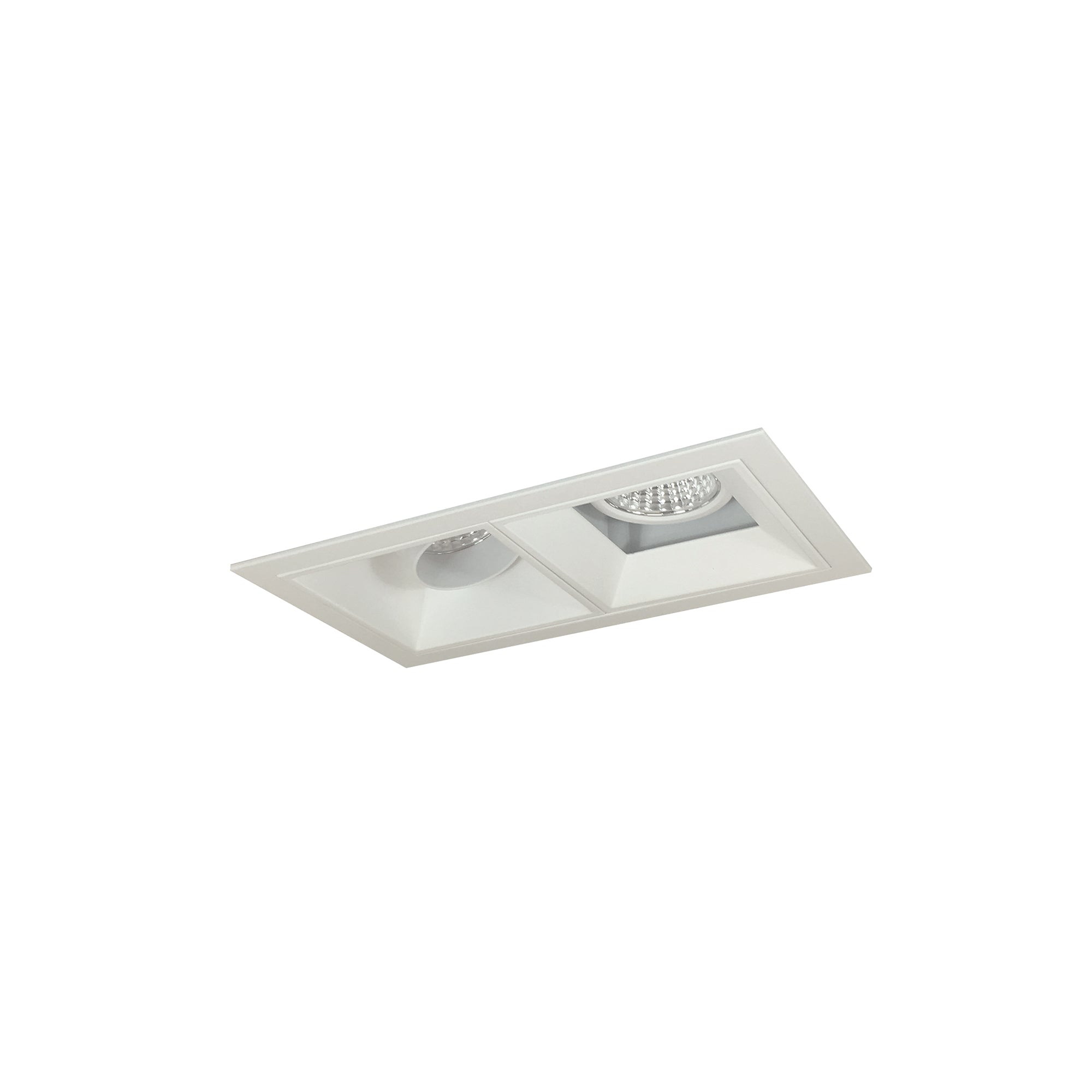 Nora Lighting NMIOT-12-MPW-AF-50X-10-MPW - Recessed - Iolite MLS 2-Head Trim Kit, MPW Flange, 5000K, 1000lm, MPW Adj. Snoot/Fixed Downlt. Trims