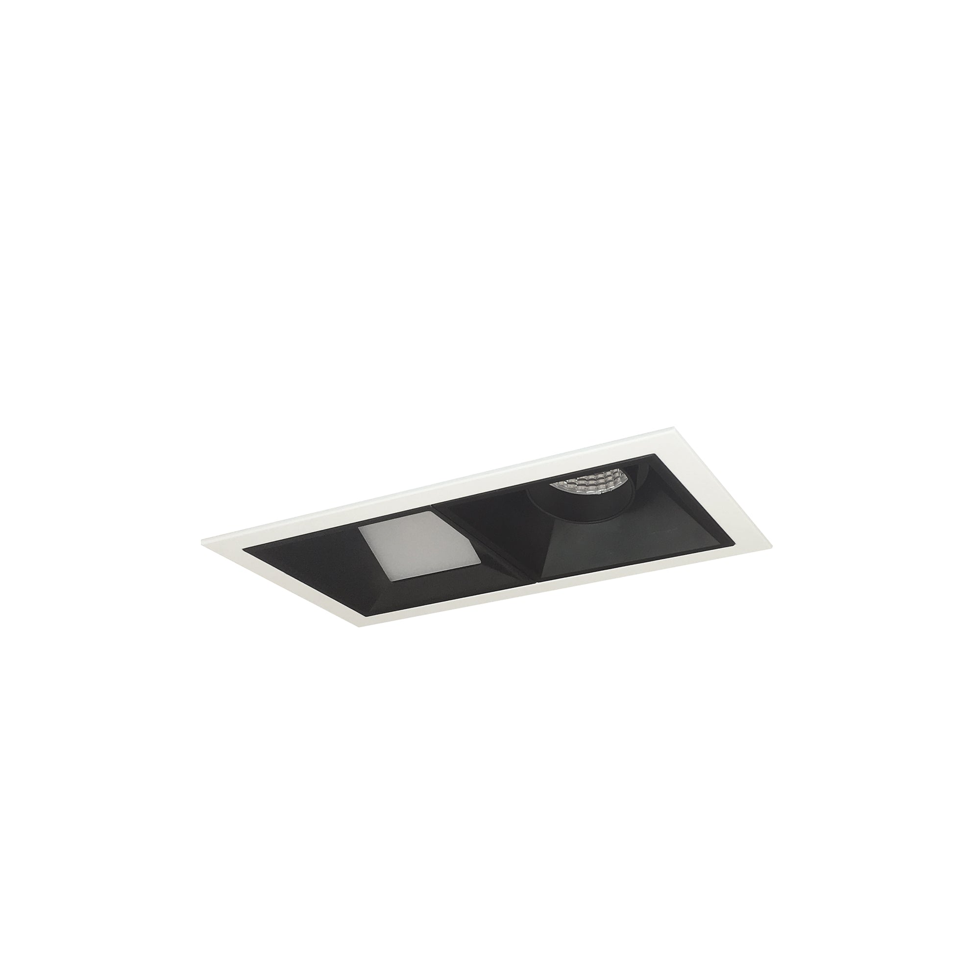 Nora Lighting NMIOT-12-MPW-AW-50X-10-B - Recessed - Iolite MLS 2-Head Trim Kit, MPW Flange, 5000K, 1000lm, Black Adj. Snoot/Wall Wash Trims