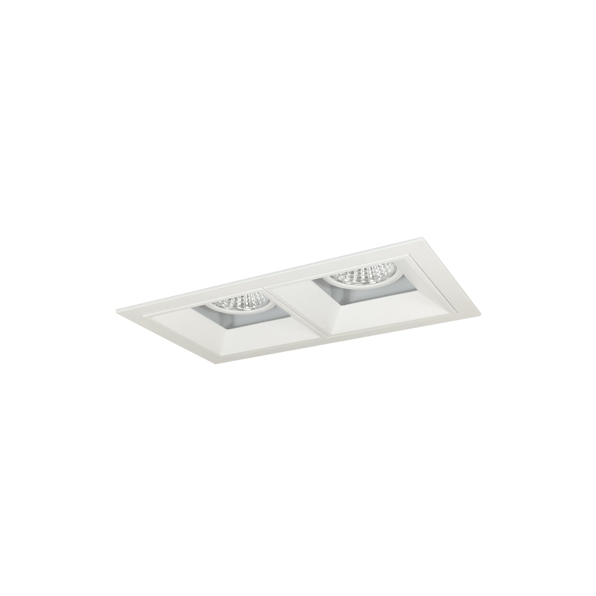Nora Lighting NMIOT-12-MPW-FF-50X-10-MPW - Recessed - Iolite MLS 2-Head Trim Kit, MPW Flange, 5000K, 1000lm, MPW Fixed Downlt. Trims