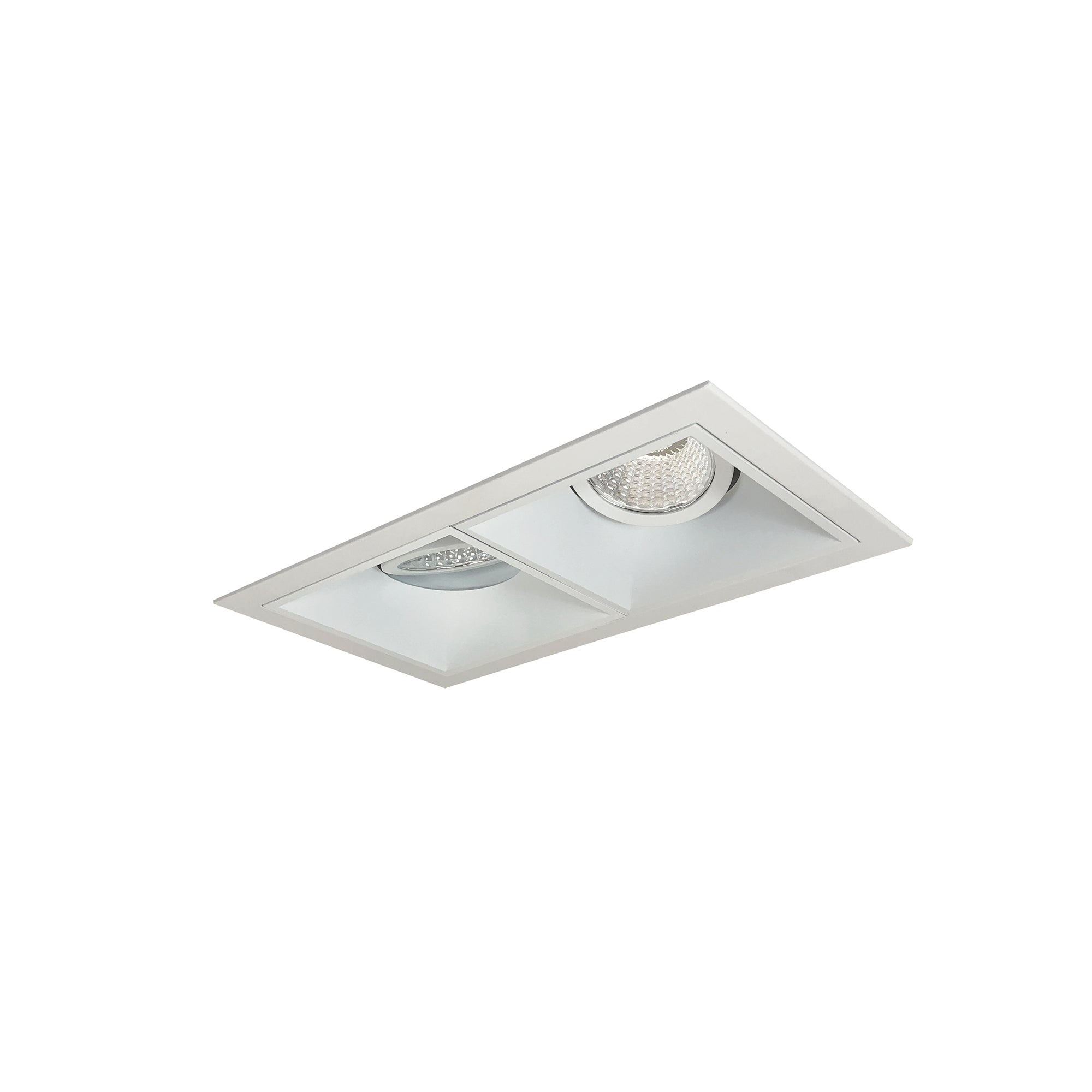 Nora Lighting NMIOT-12-MPW-GG-35X-10-MPW - Recessed - Iolite MLS 2-Head Trim Set, MPW Flange, 3500K, 1000lm, MPW Adj. Gimbal Trims