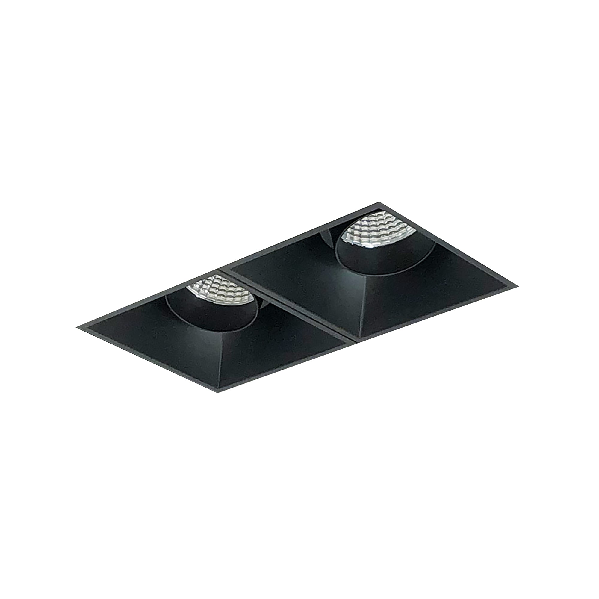 Nora Lighting NMIOTL-12-NF-AA-50X-10-B - Recessed - Iolite MLS 2-Head Trimless Reflector Kit, 5000K, 1000lm, Black Adj. Snoot Trims