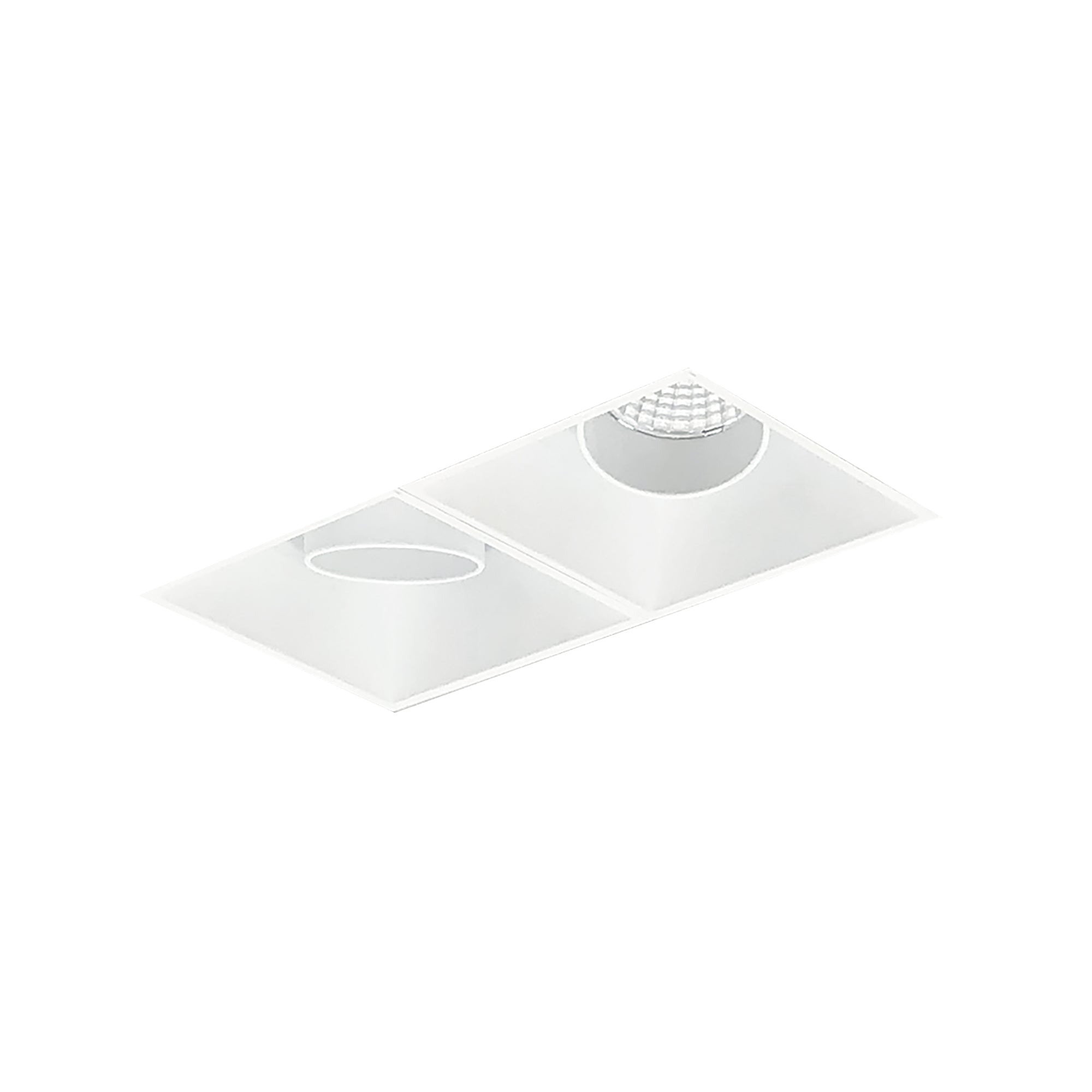Nora Lighting NMIOTL-12-NF-AA-CDX-10-MPW - Recessed - Iolite MLS 2-Head Trimless Reflector Kit, Comfort Dim, 800lm, MPW Adj. Snoot Trims