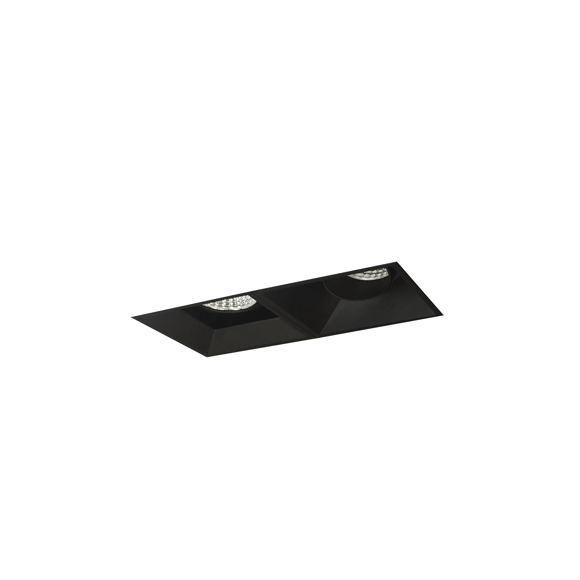 Nora Lighting NMIOTL-12-NF-AF-CDX-10-B - Recessed - Iolite MLS 2-Head Trimless Reflector Kit, Comfort Dim, 800lm, Black Adj. Snoot/Fixed Downlt. Trims