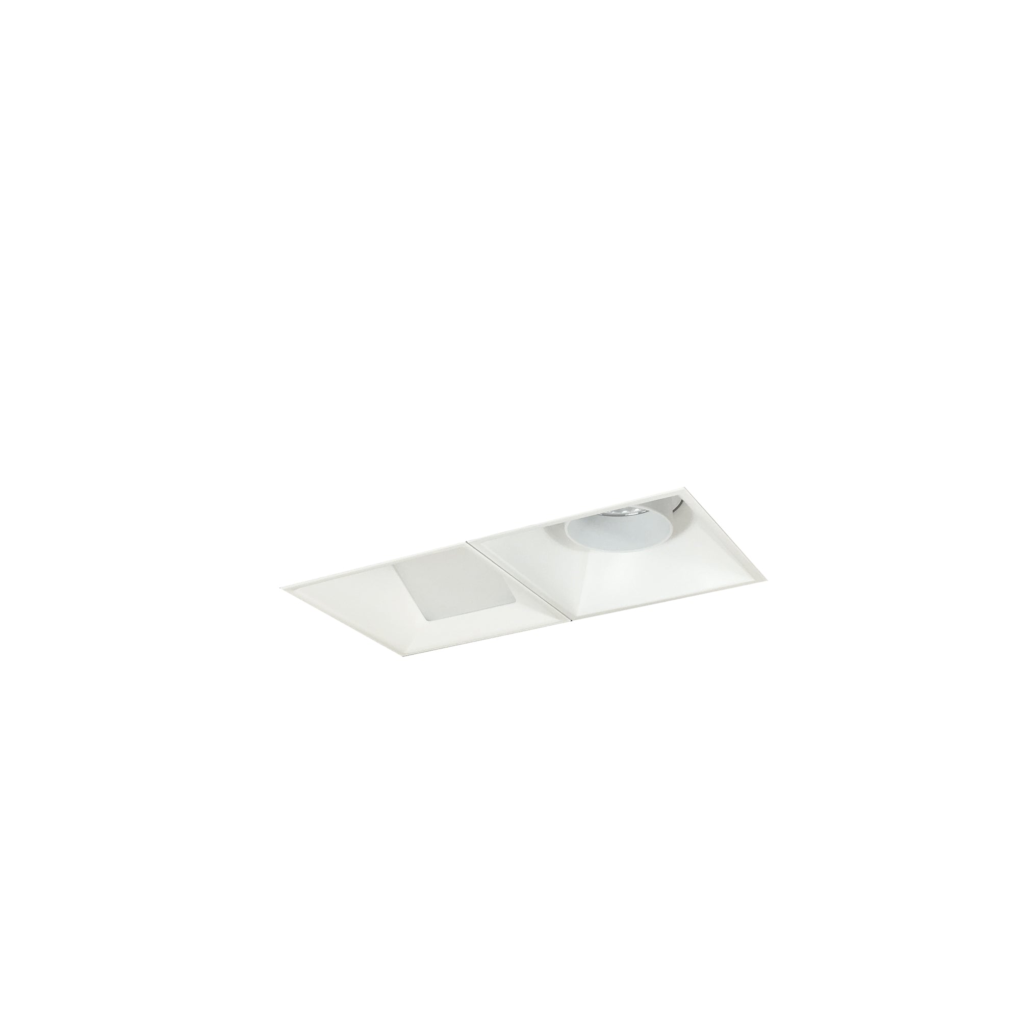 Nora Lighting NMIOTL-12-NF-AW-50X-10-MPW - Recessed - Iolite MLS 2-Head Trimless Reflector Kit, 5000K, 1000lm, MPW Adj. Snoot/Wall Wash Trims