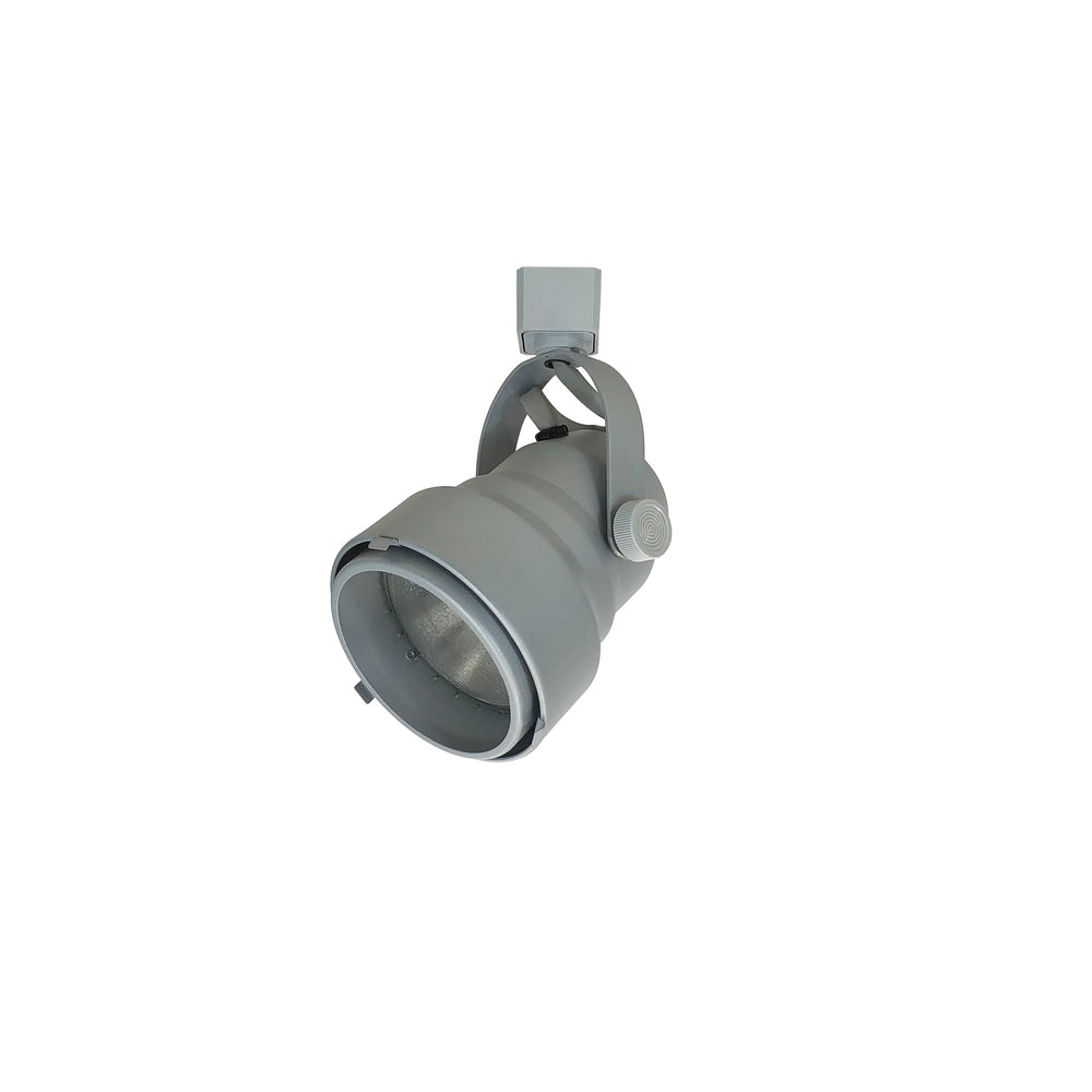 Nora Lighting NTH-149S SHROUD PAR30 SILVER